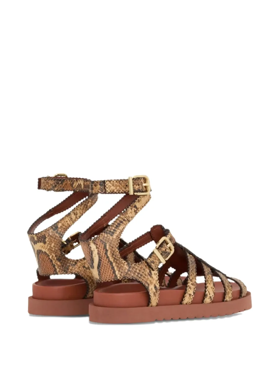 сандалии Goldie Gladiator с пряжками 10