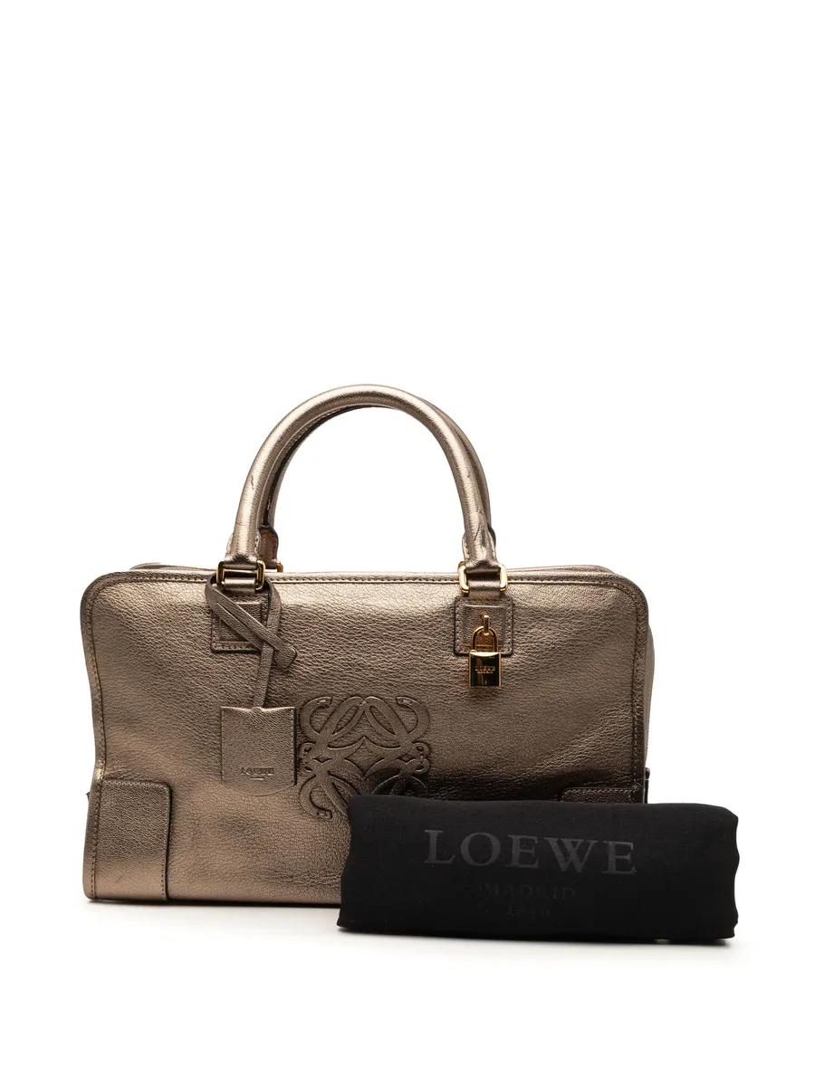 2011 Metallic Goatskin Amazona 36 handbag 13