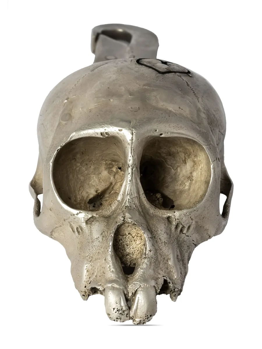 подвеска Monkey Skull 6