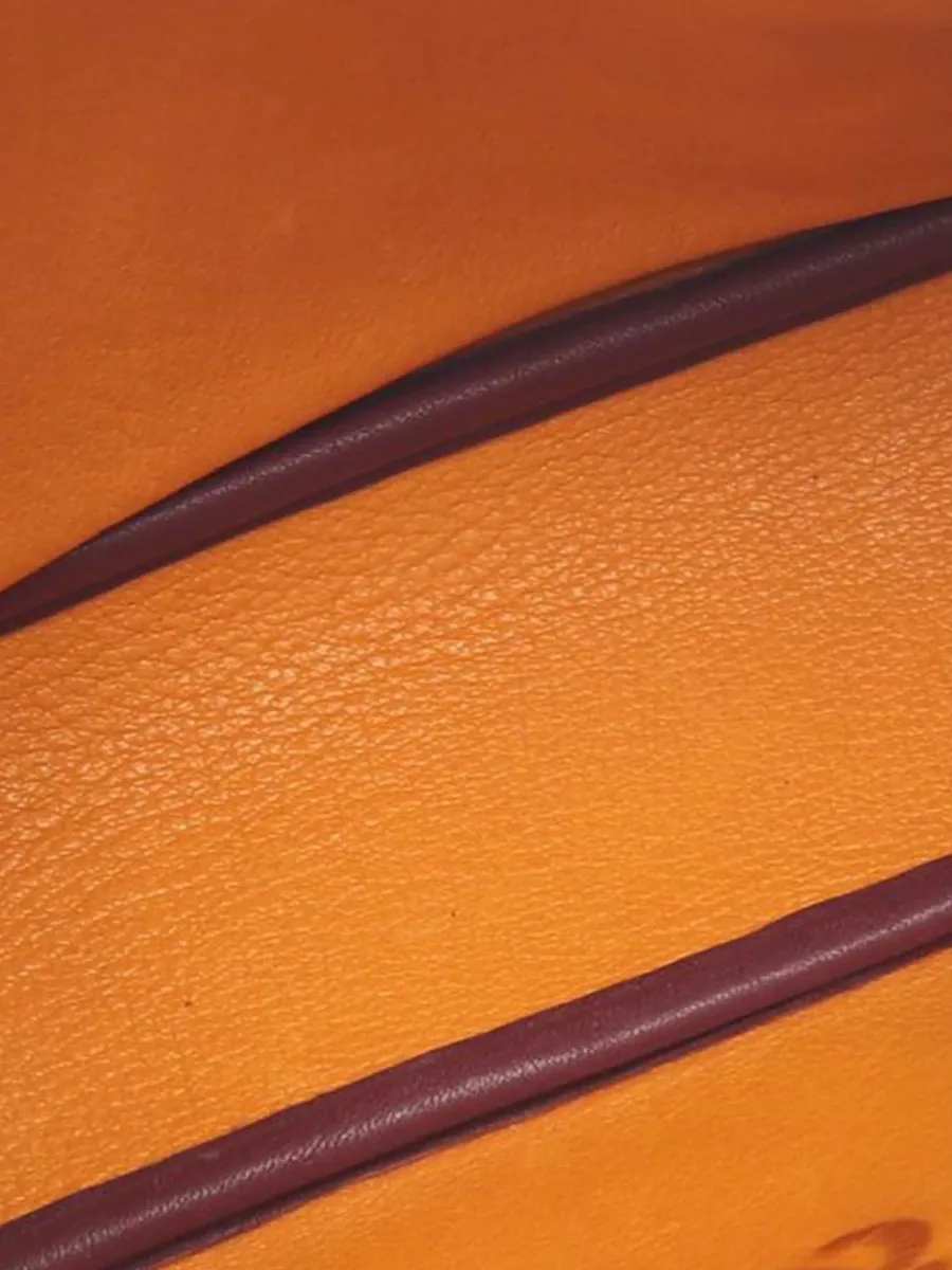 2010-2026 Anagram Suede and Calfskin shoulder bag 7