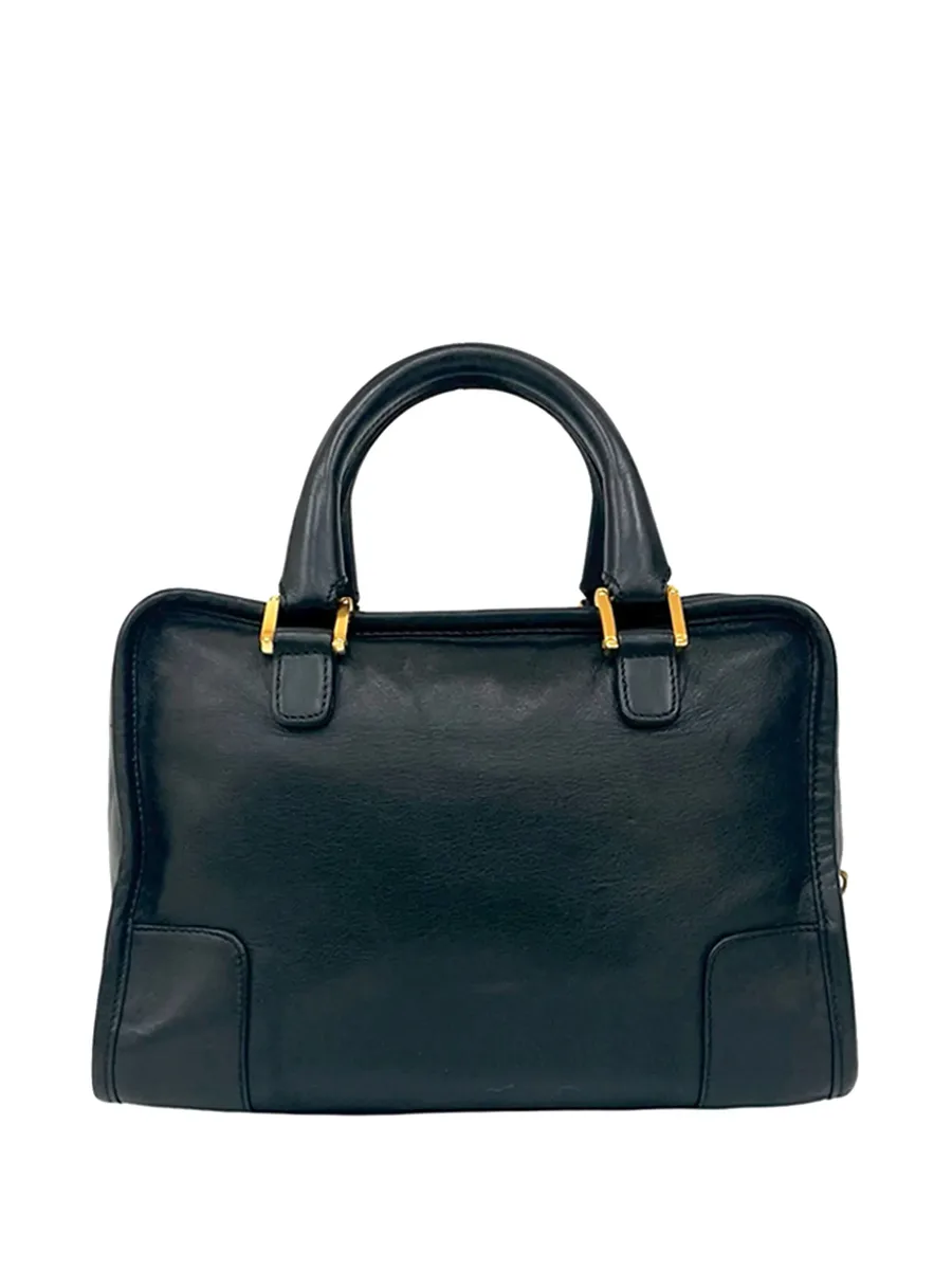 2010-2026 Goatskin Amazona 28 handbag 5
