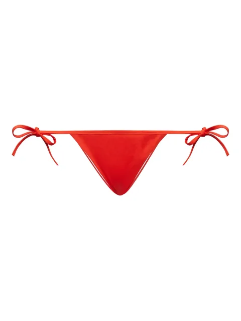 embroidered bikini briefs