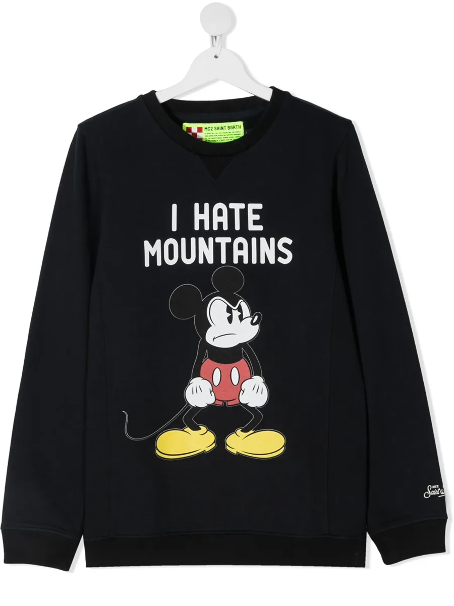 толстовка Angry Mickey 2
