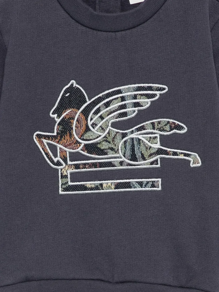 толстовка с вышивкой Pegasus 6