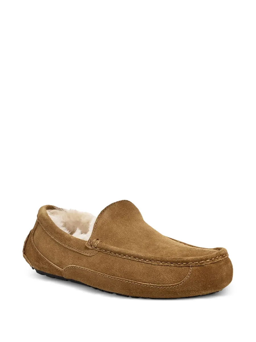 Ascot slippers 4