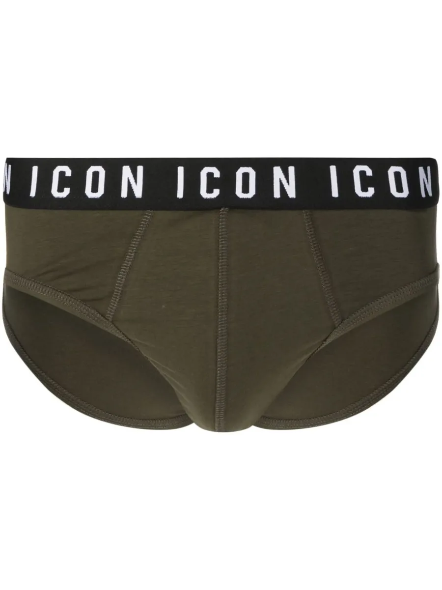 Icon-waistband briefs 2
