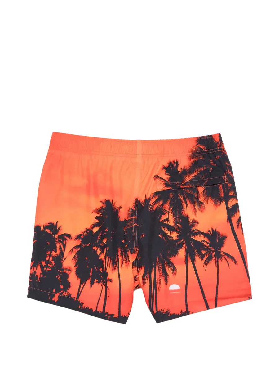 плавки-шорты Sunset Palms 4