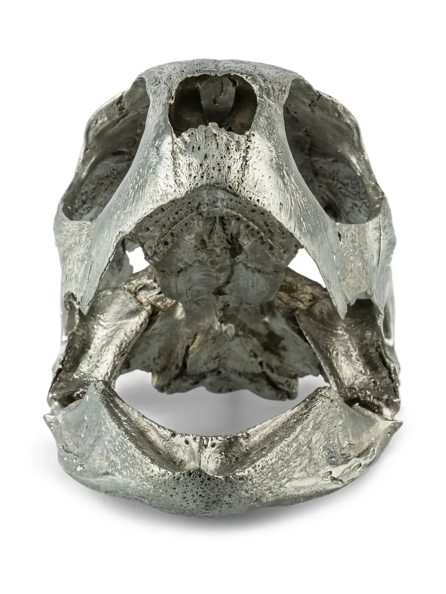 turtle-skull sculpture 4