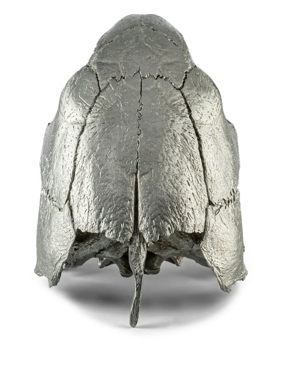 turtle-skull sculpture 6