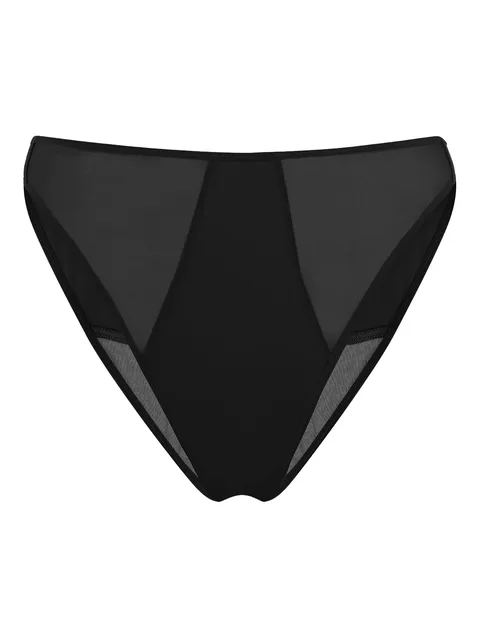 sheer-panelled briefs