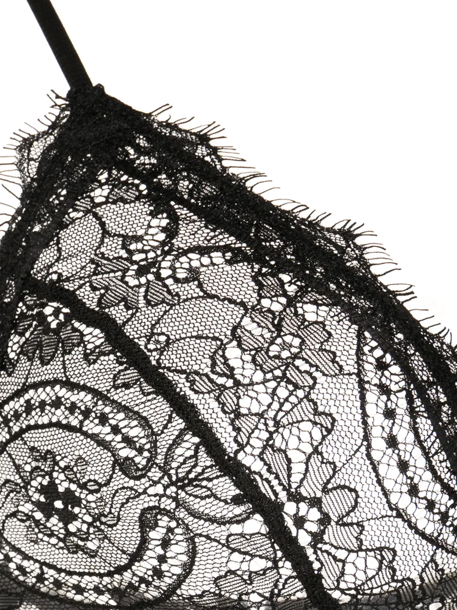 sheer lace bra 6