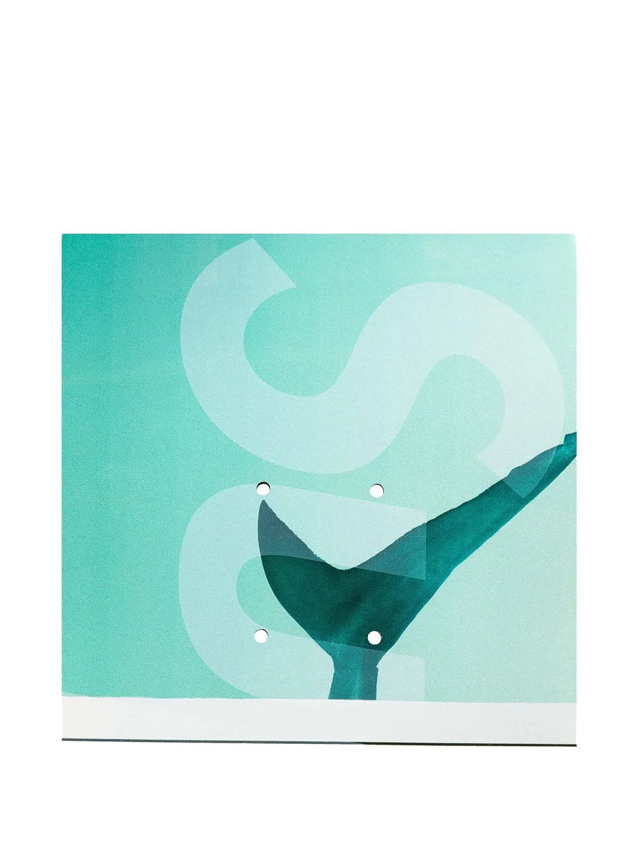 скейтборд Shark из коллаборации с Damien Hirst 4