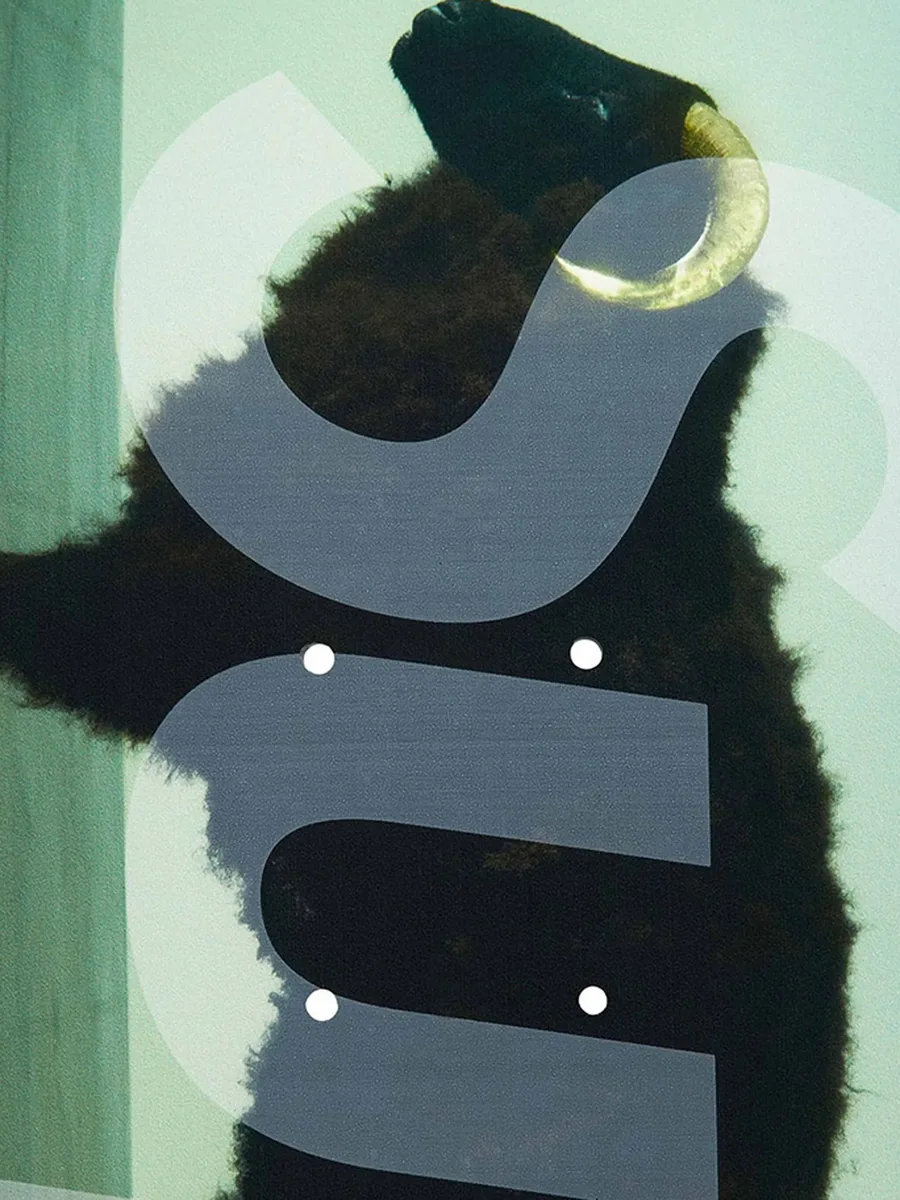 скейтборд Sheep Black из коллаборации с Damien Hirst 4