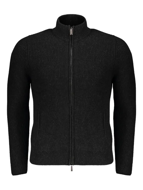 Ares-Cah zip-up turtleneck cardigan
