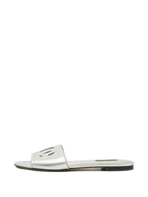 DG Logo slides