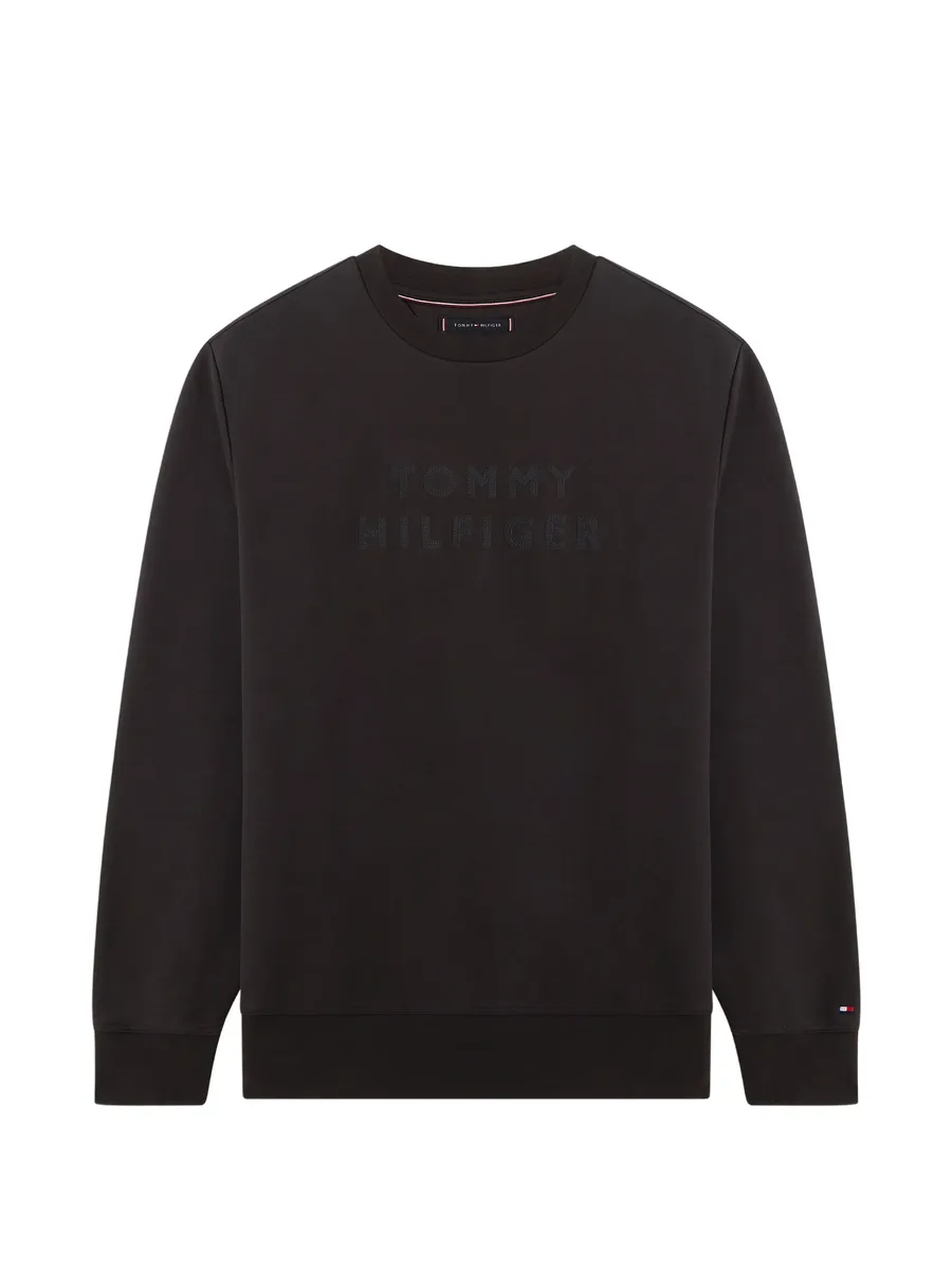 logo sweatshirt 2