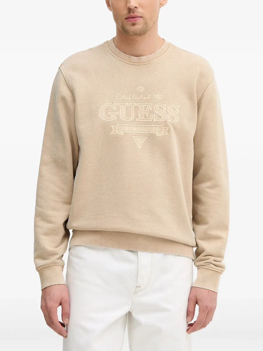 embroidered sweatshirt 2