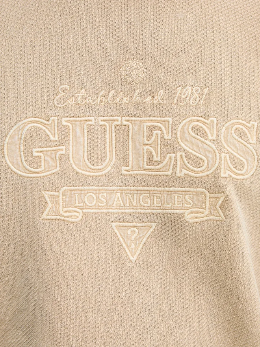 embroidered sweatshirt 9