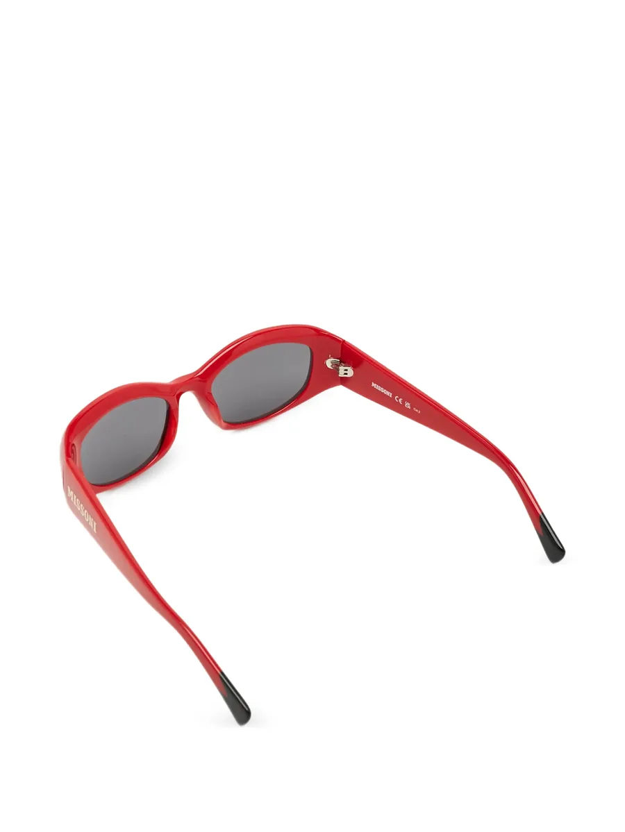 oval frame sunglasses 2
