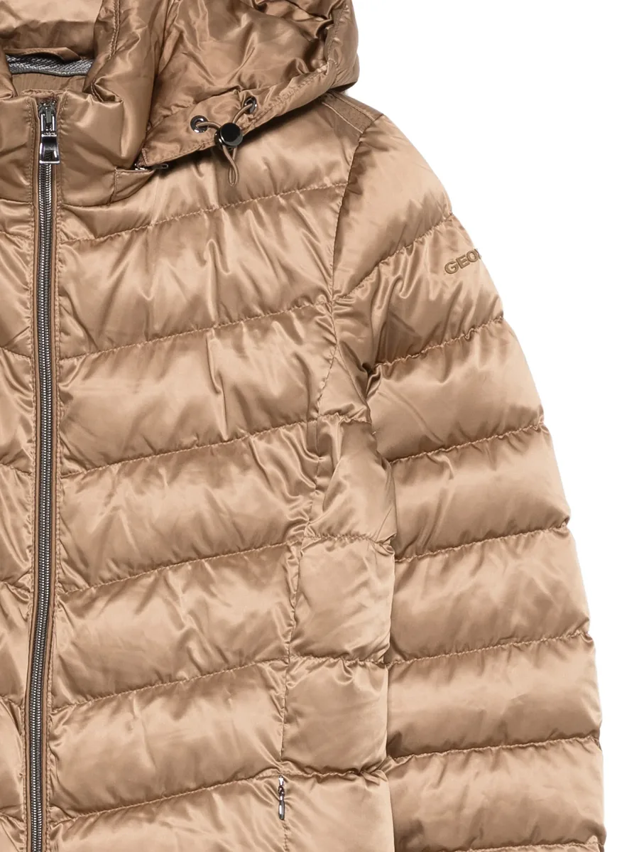 Zosma coat 5