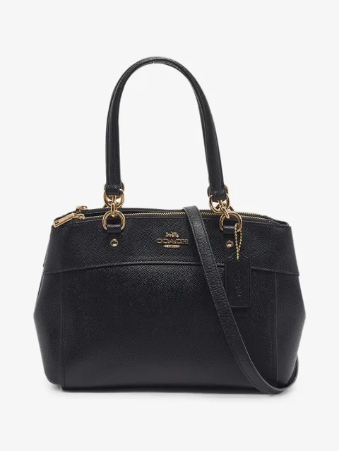 сумка-тоут Brooke Carryall размера мини