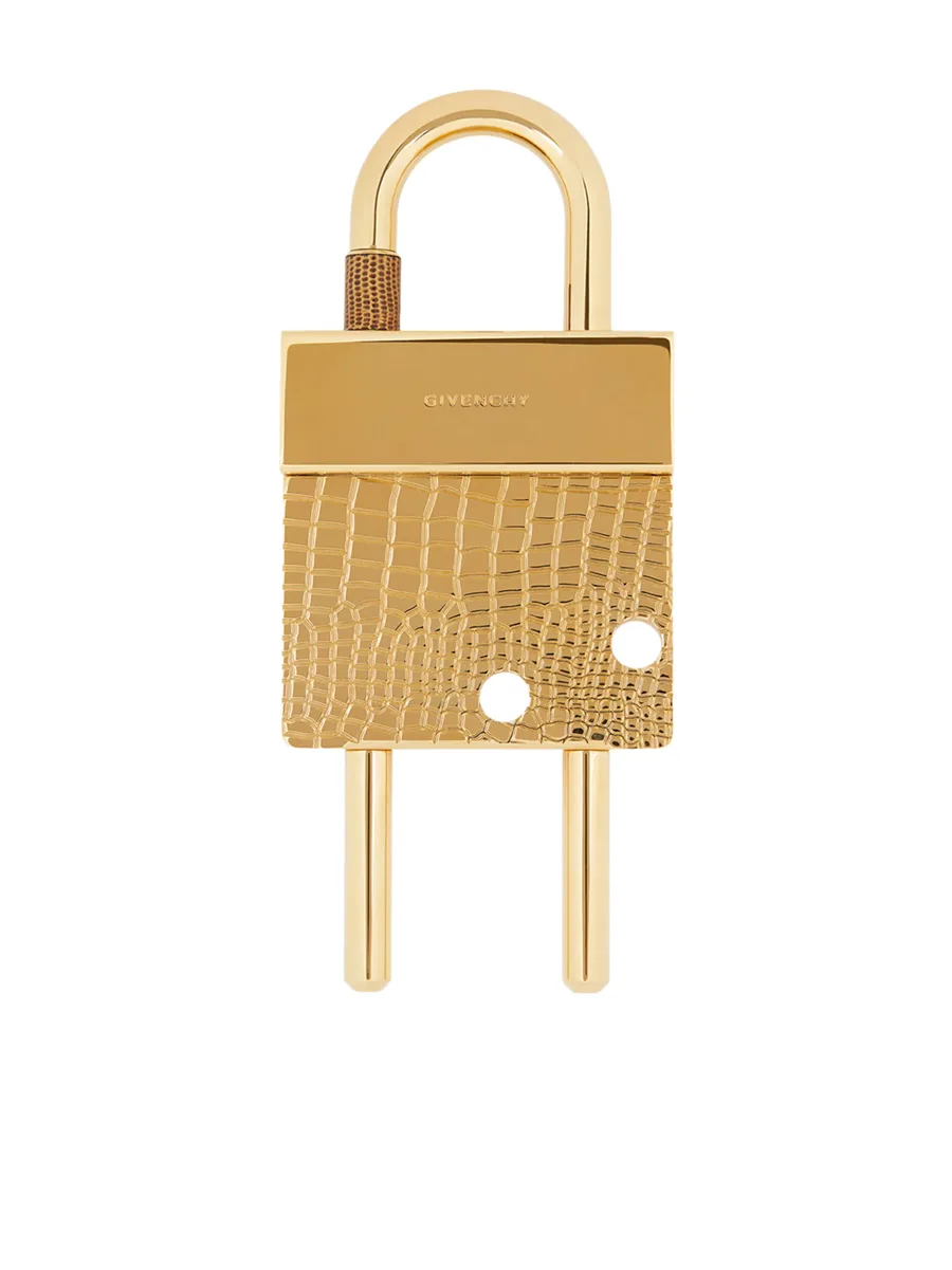 crocodile-effect padlock 2