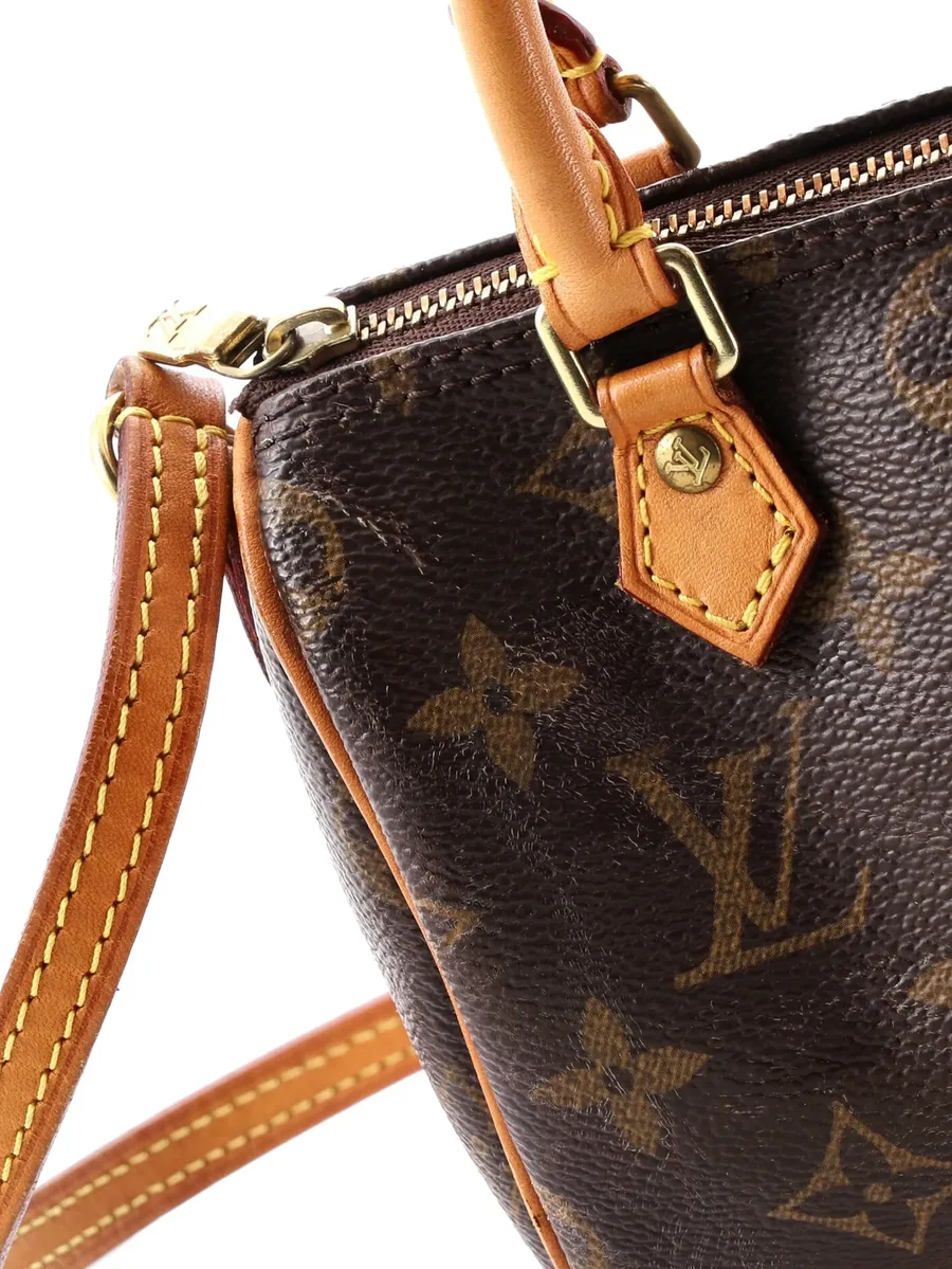 сумка через плечо Speedy Bandouliere Bag Monogram Nano 13