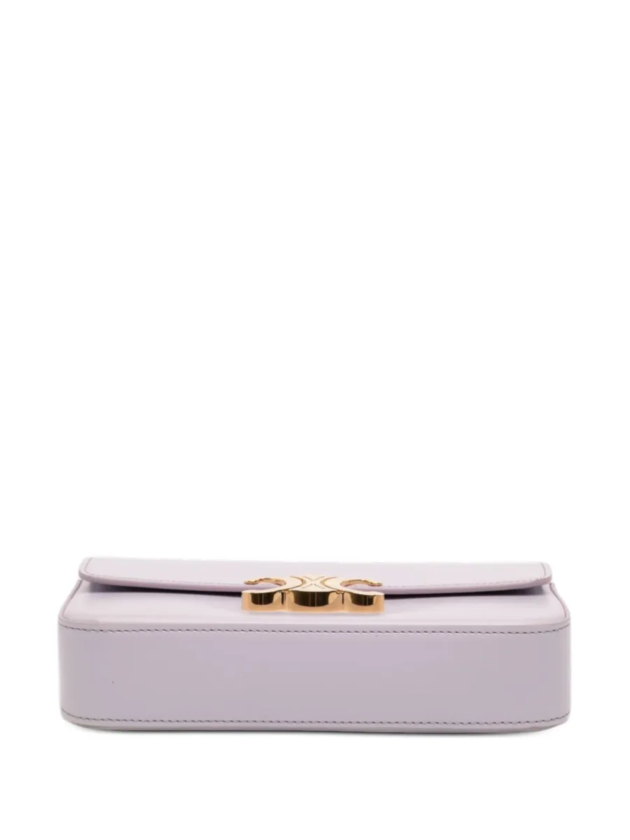 сумка на плечо Shiny Calfskin Claude Chain (2023 год) 8