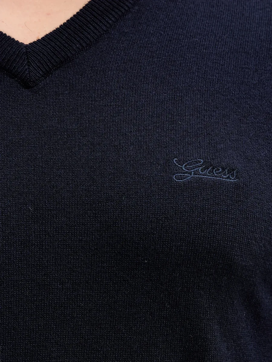 Daren logo-embroidered V-neck sweater 9