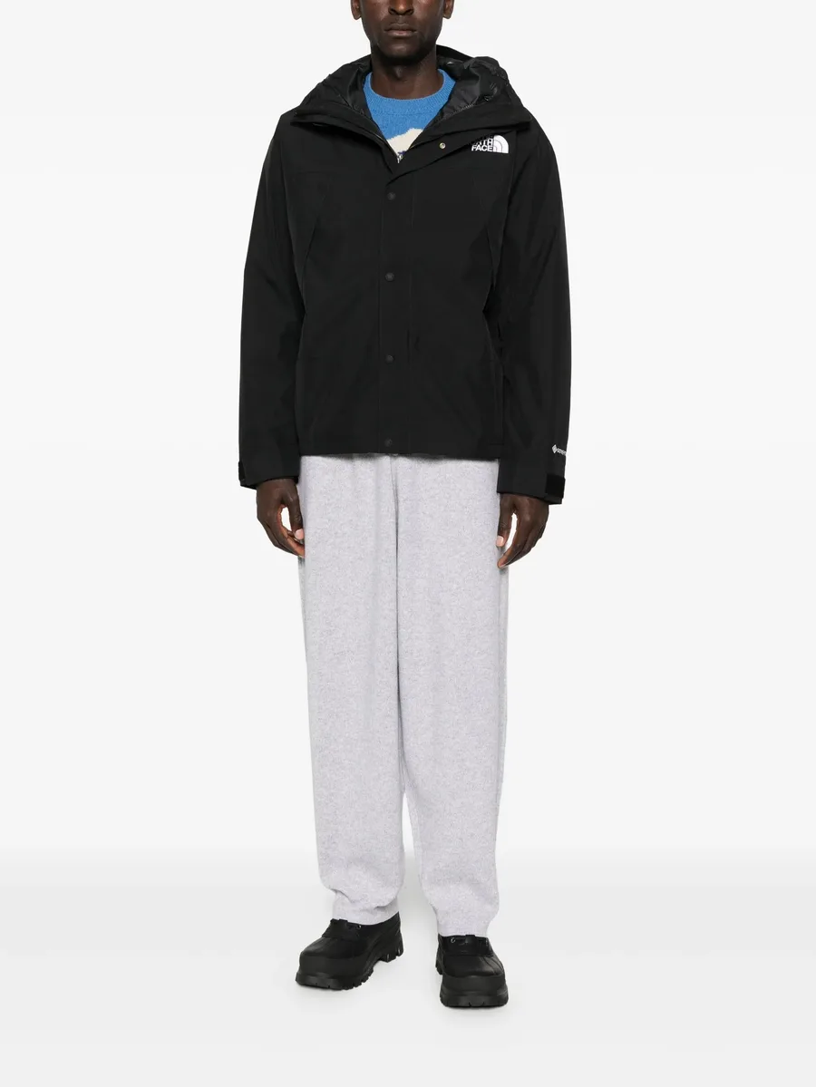 куртка Mountain GORE-TEX 3