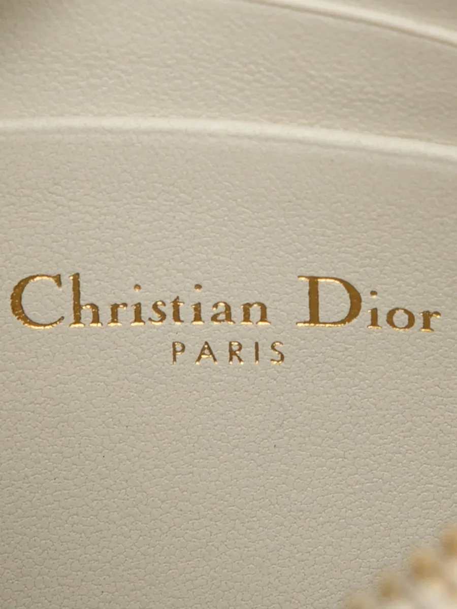2021 Supple Cannage Calfskin Caro Every Dior Pouch crossbody bag 12