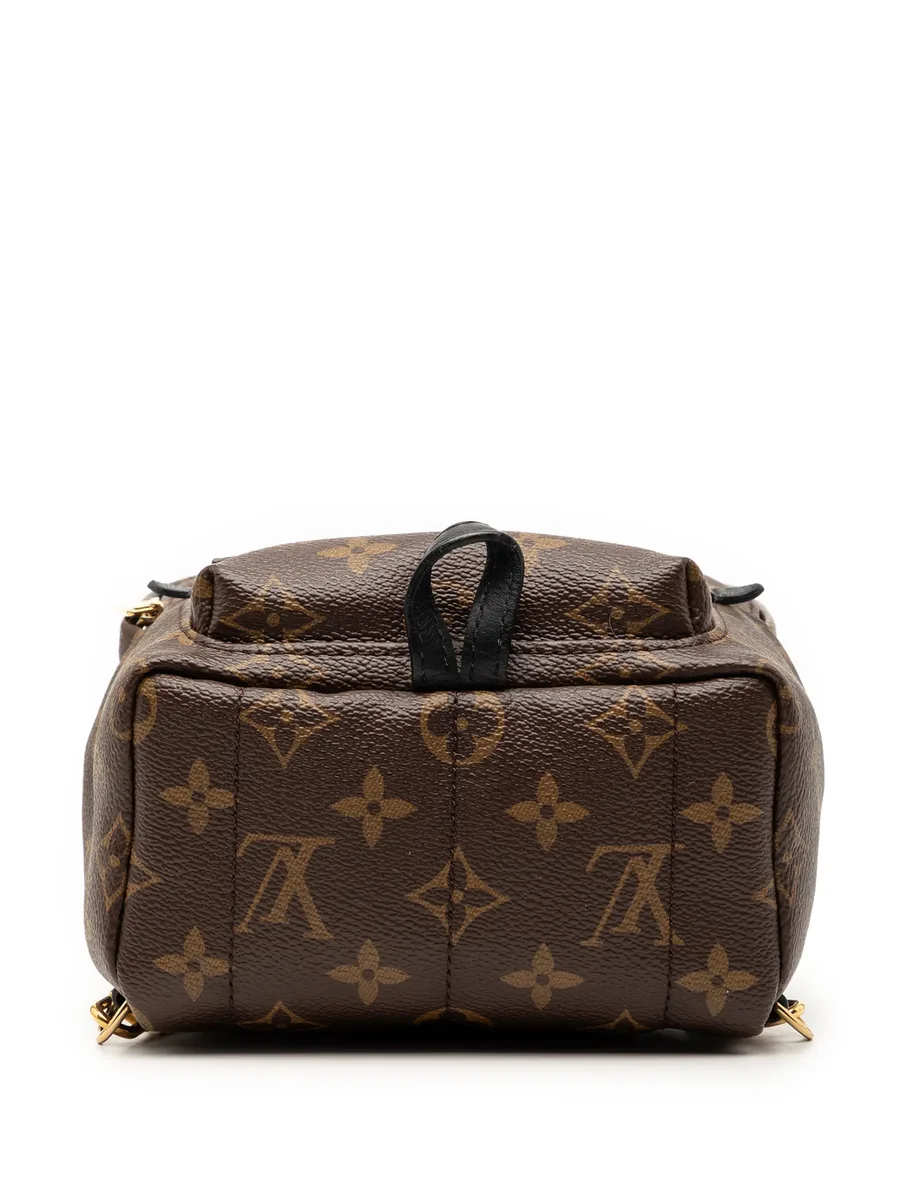 рюкзак Monogram Mini Palm Springs (2018 год) 7