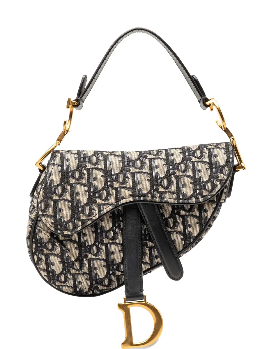 2019 Mini Oblique Canvas Saddle Bag satchel 2