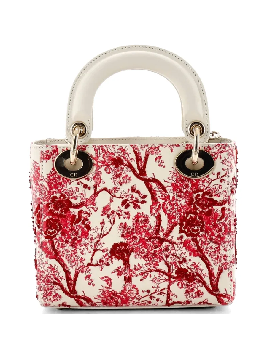сумка-сэтчел Lady Dior Chain Bag размера мини 4