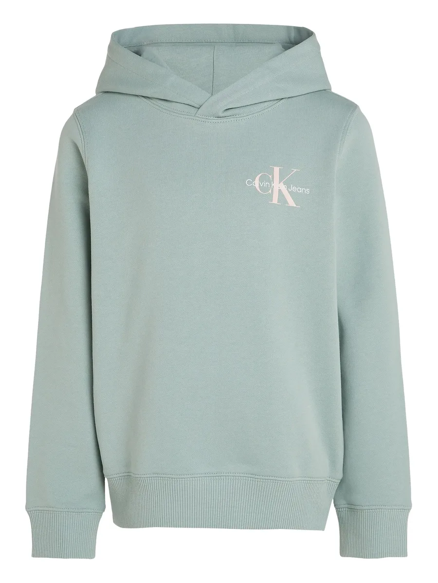 базовое худи 1