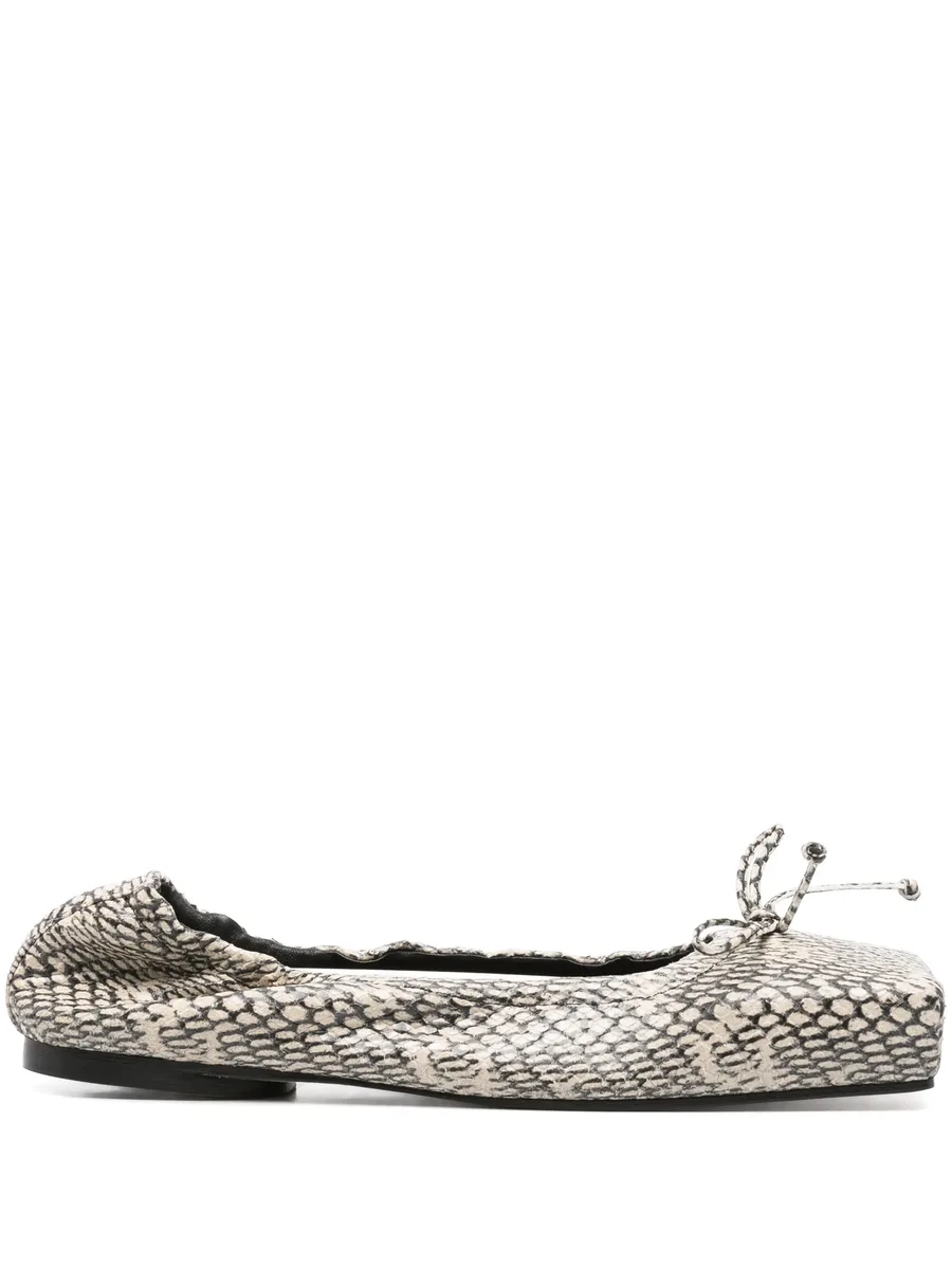 балетки The Ballet 1