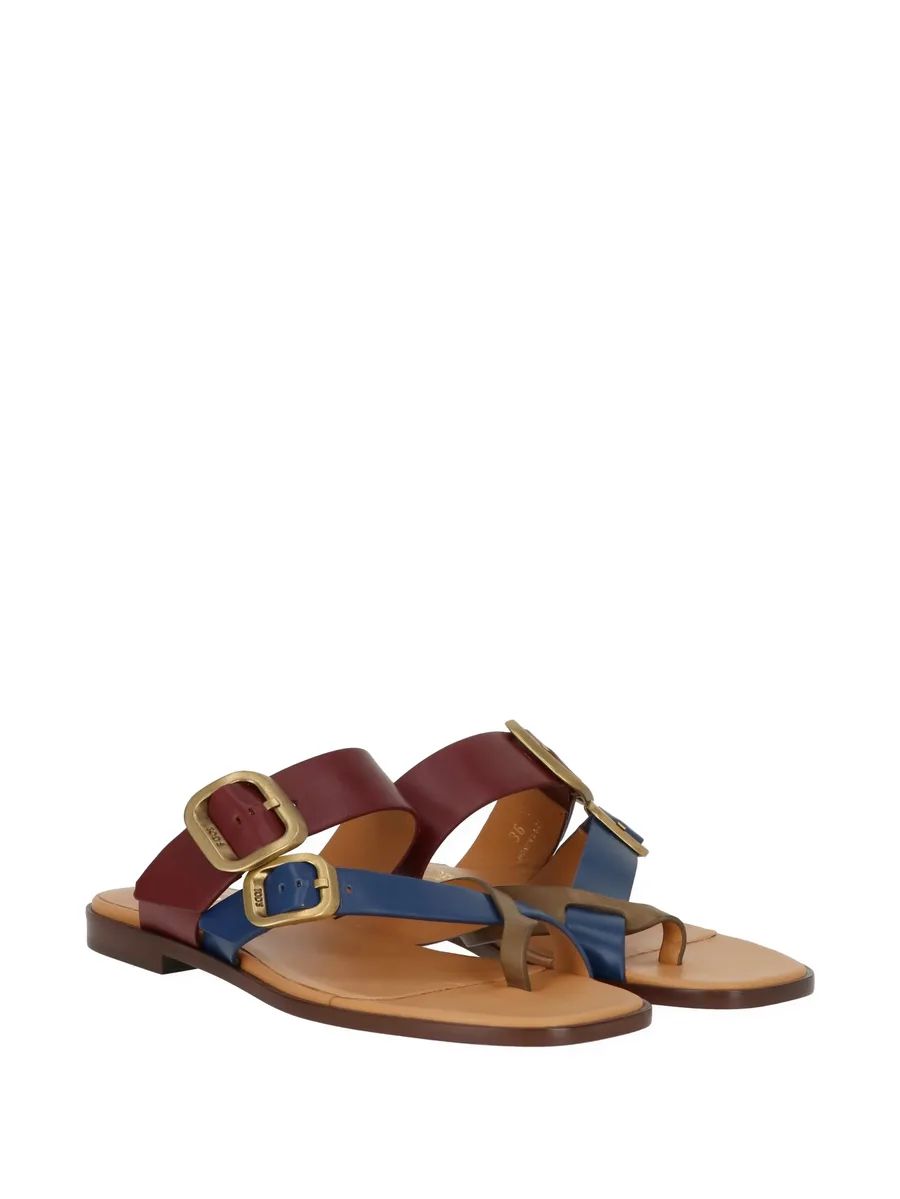 buckle-fastening leather sandals 3