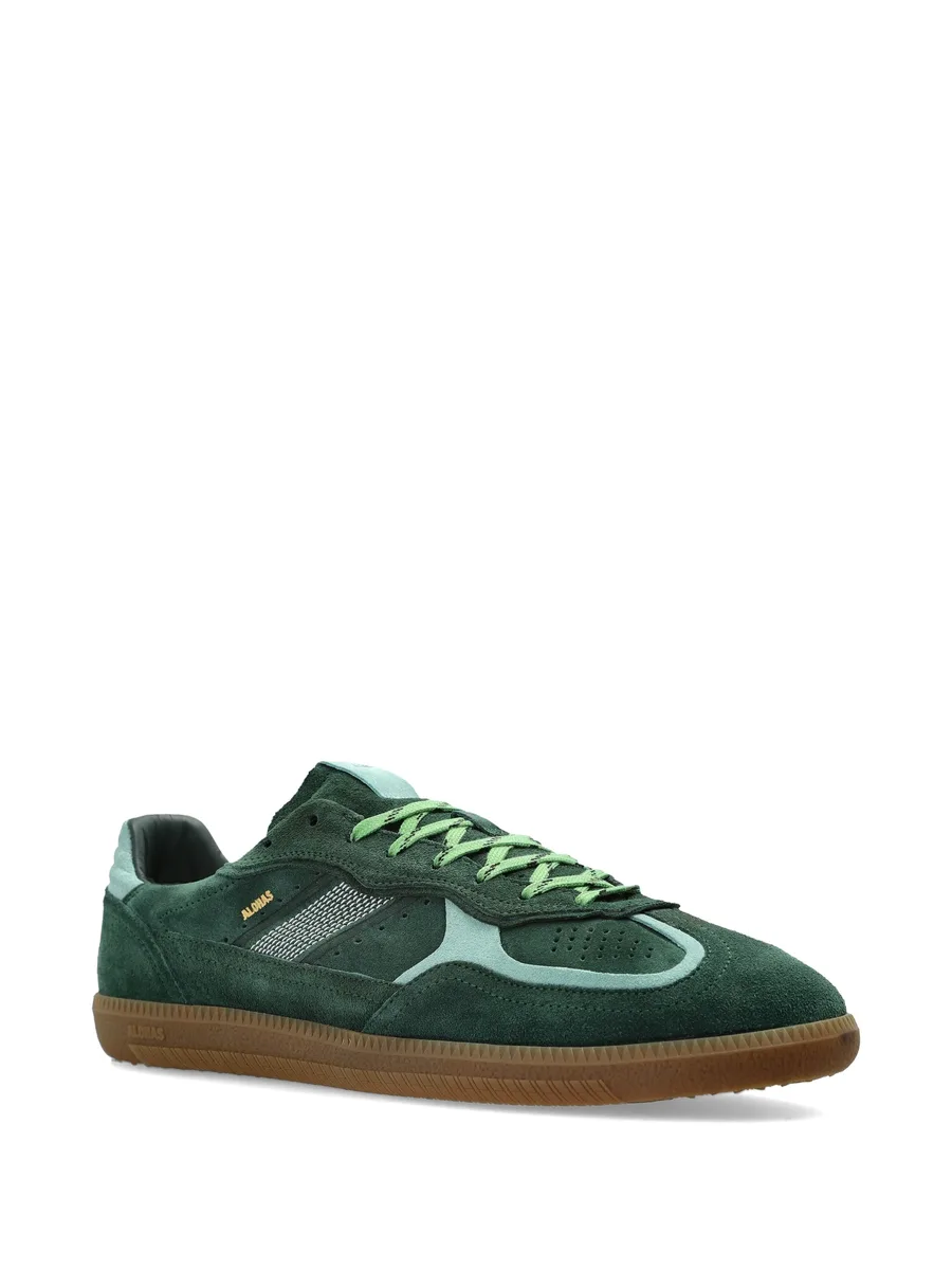TB.490 suede perforated sneakers 3