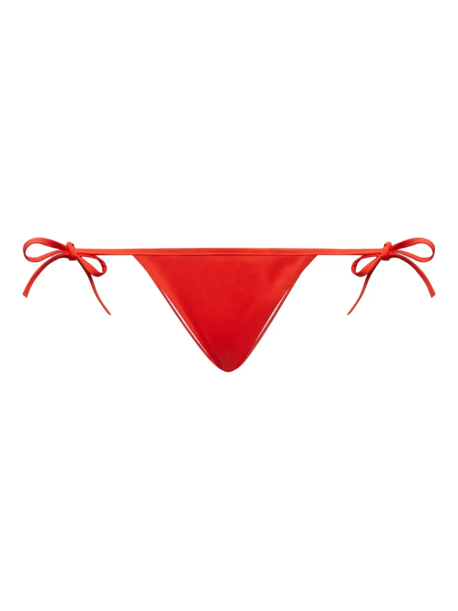 embroidered bikini briefs 1