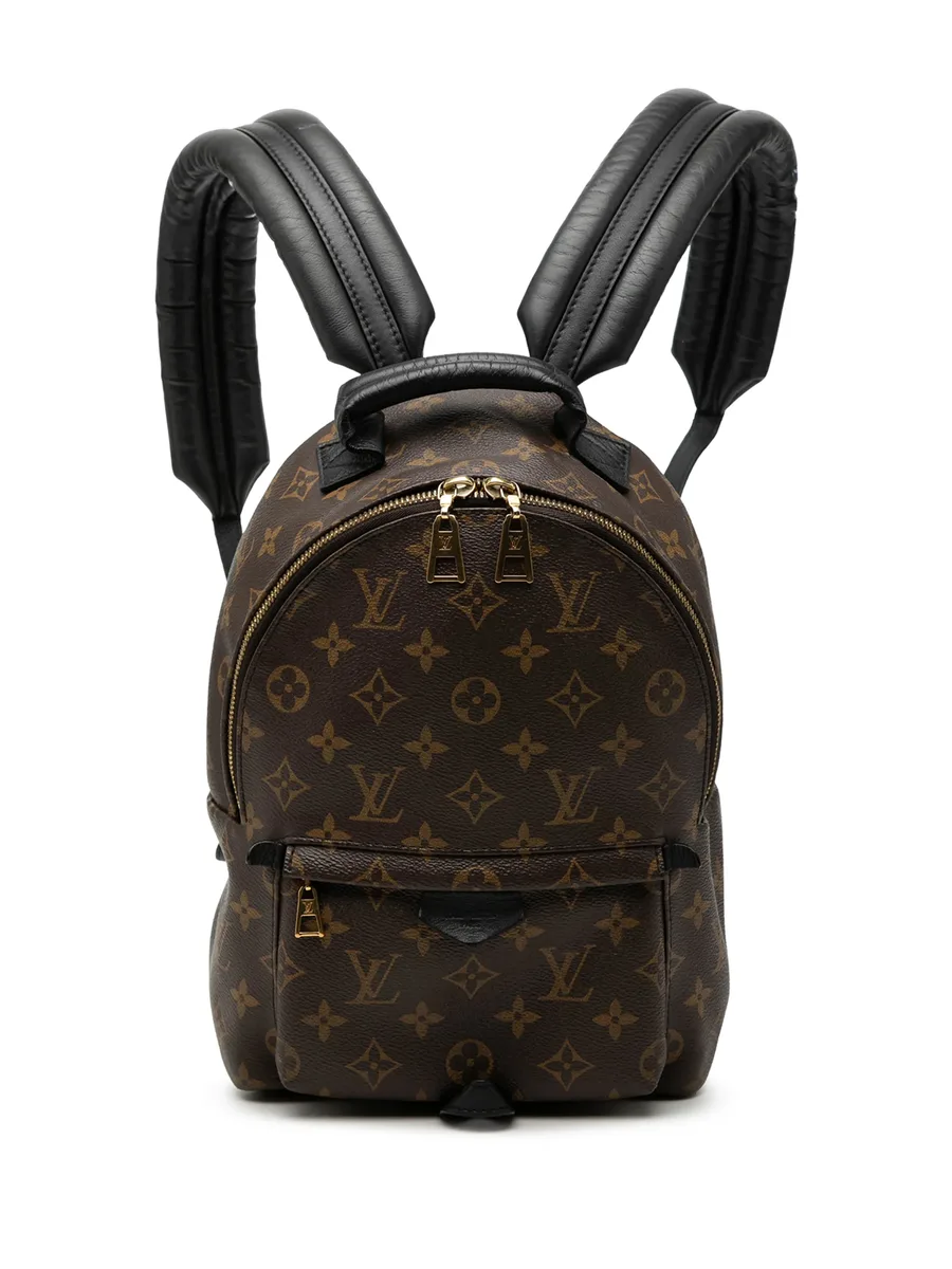 рюкзак Monogram Palm Springs PM (2015 год) 1