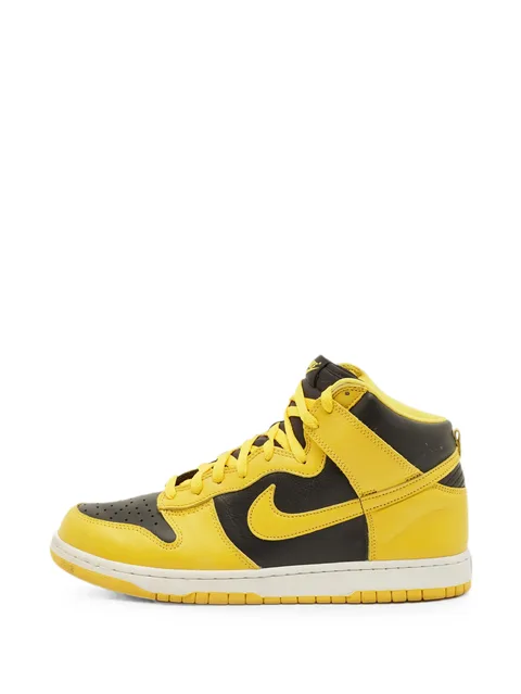 кроссовки Dunk Iowa
