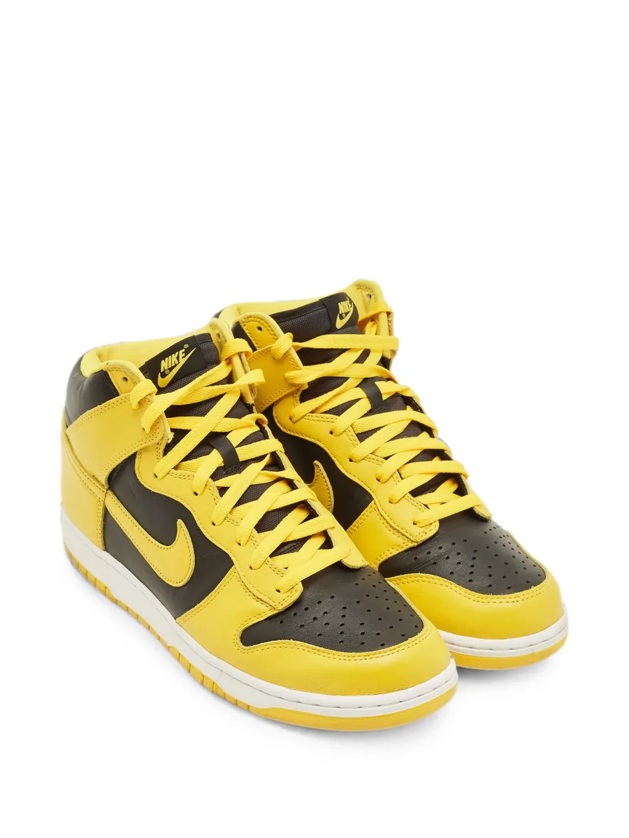 кроссовки Dunk Iowa 5