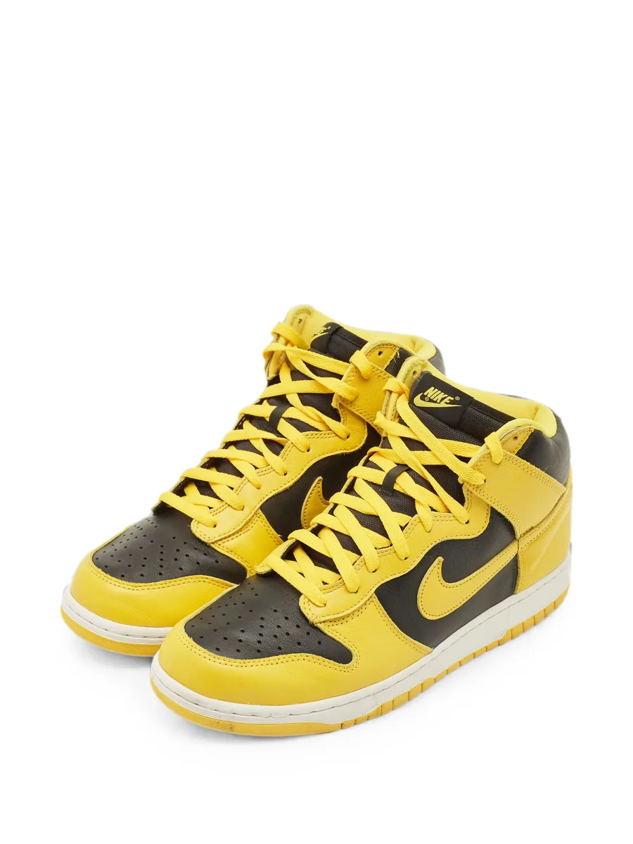 кроссовки Dunk Iowa 2