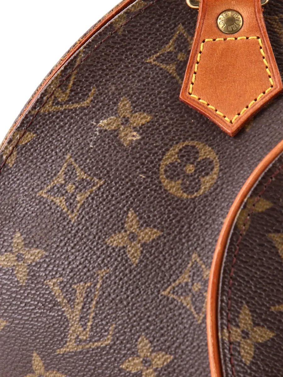 сумка-сэтчел Ellipse Bag Monogram Canvas PM 4
