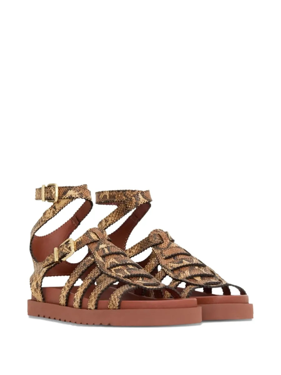 сандалии Goldie Gladiator с пряжками 3