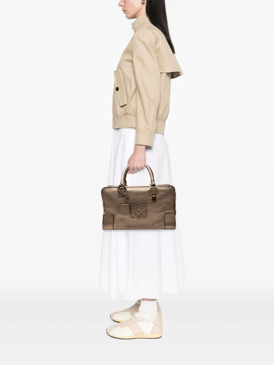 2011 Metallic Goatskin Amazona 36 handbag 4
