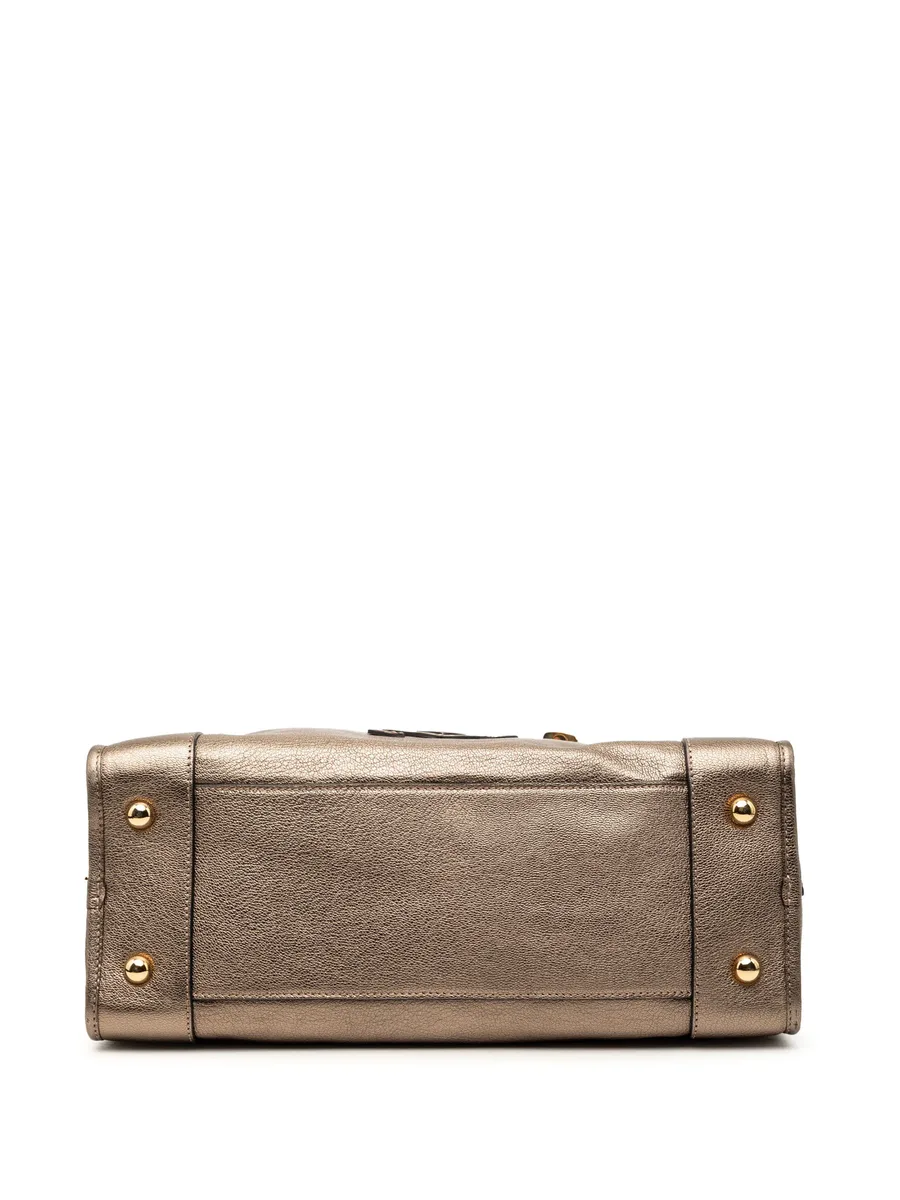 2011 Metallic Goatskin Amazona 36 handbag 7