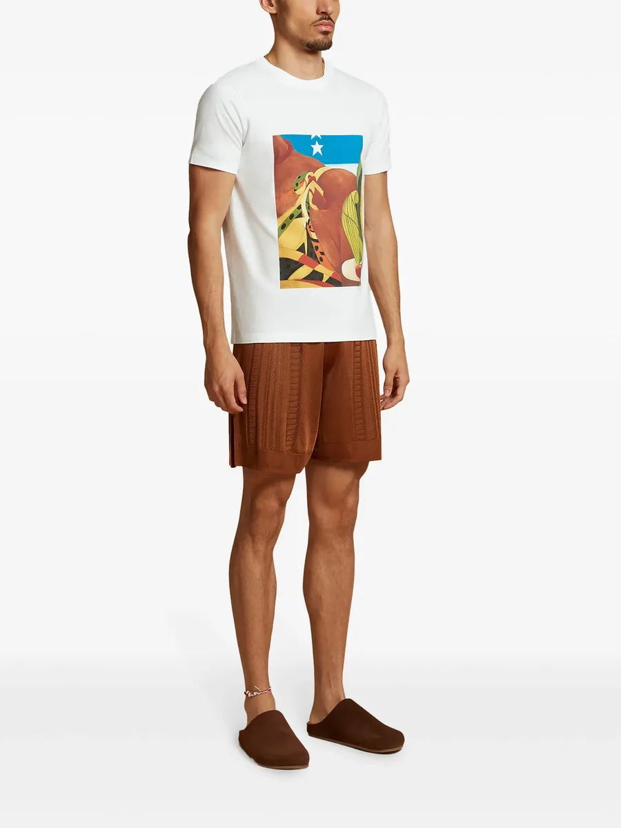 Palenque T-shirt 5