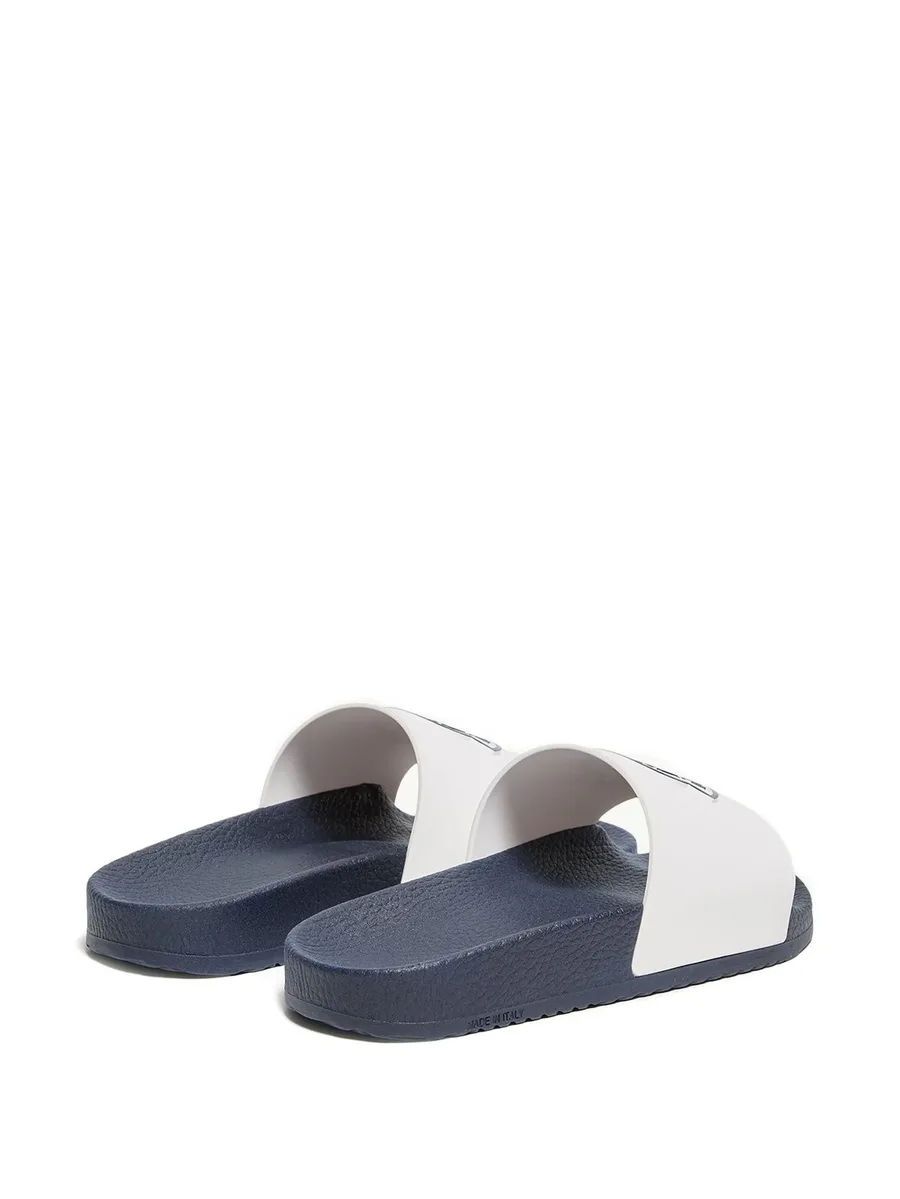 Petit Basile logo-detail slides 5