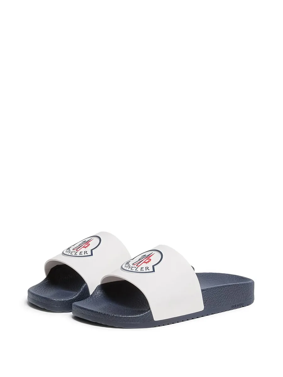 Petit Basile logo-detail slides 1